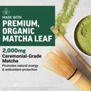 force-factor-mighty-matcha-powder-premiu-3.jpg