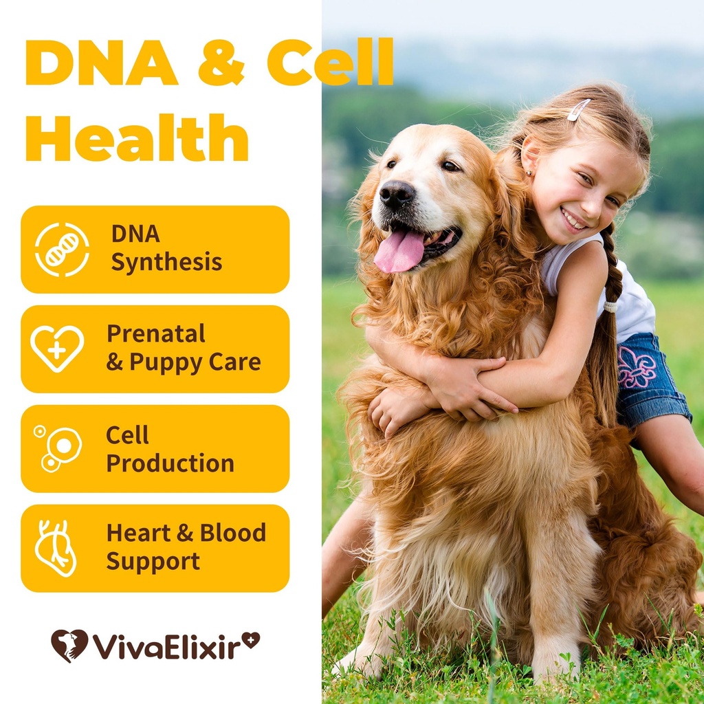 heart-support-supplement-for-dogs-aids-b-2.jpg