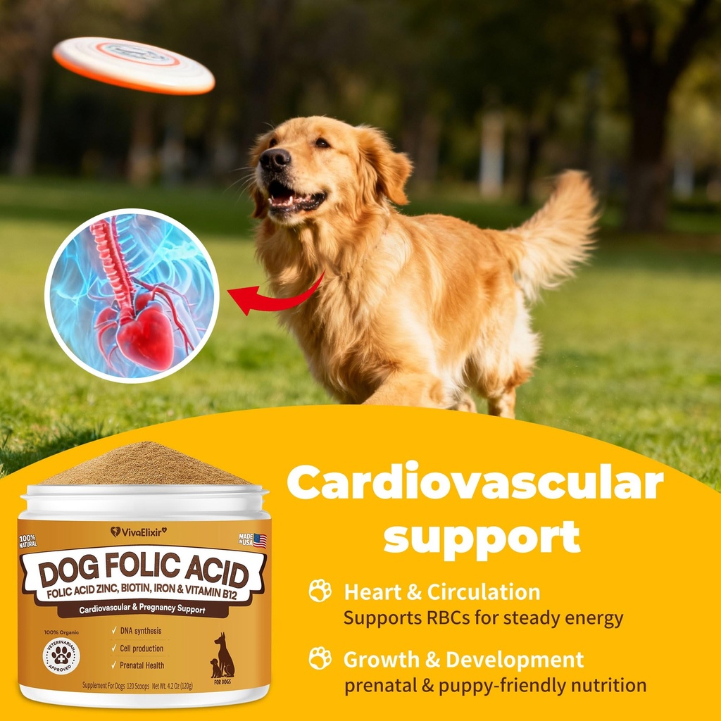 heart-support-supplement-for-dogs-aids-b-4.jpg