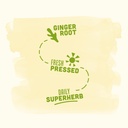 vive-organic-pure-boost-ginger-shot-2oz--6.jpg