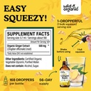 wild-organic-ginger-tincture-4-fl-oz-tur-3.jpg