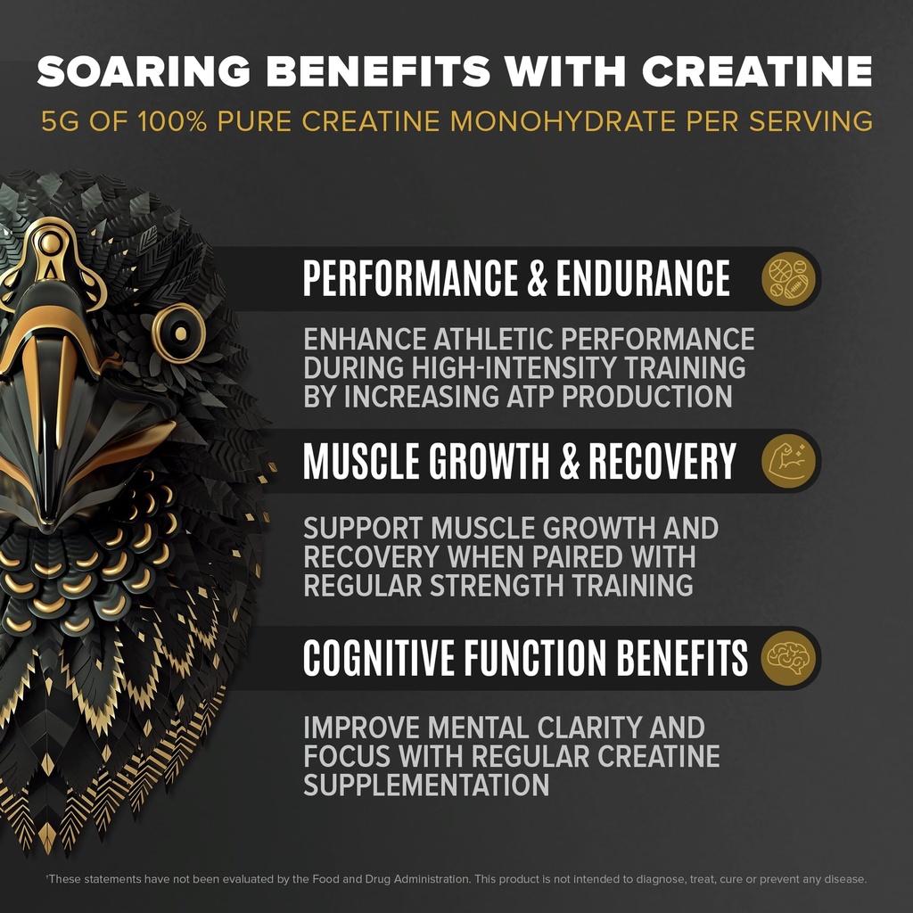 birdman-falcon-performance-vegan-protein-4.jpg