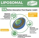 1000mg-liposomal-coq10-softgels-better-a-5.jpg