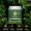 organic-greens-powder-superfood-complex--5.jpg