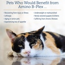 rx-vitamins-amino-b-plex-cat-dog-supplem-4.jpg