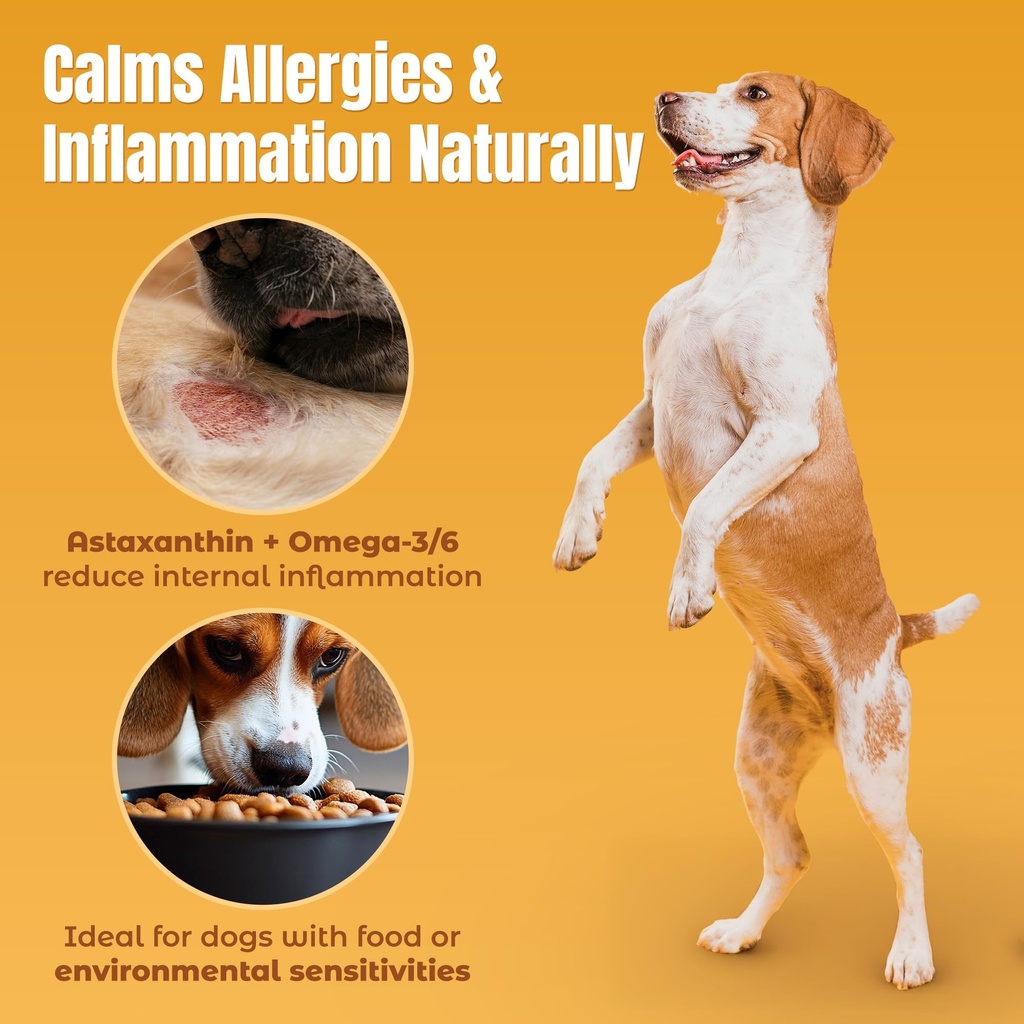 lifeline-wild-anchovy-borage-oil-for-dog-4.jpg