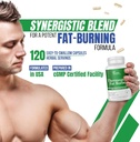 dr-vitamin-solutions-thermogenic-fat-bur-6.jpg