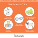herbsmith-spector-eye-and-vision-support-5.jpg