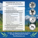 pure-mountain-botanicals-immuno-well-rx--2.jpg