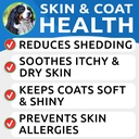 bark-spark-glucosamine-dog-treats-omega--3.jpg