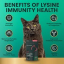 vetriscience-lysine-immunity-health-chew-4.jpg
