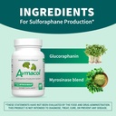 nutramax-avmacol-1-researched-sulforapha-2.jpg