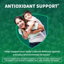nutramax-avmacol-1-researched-sulforapha-6.jpg