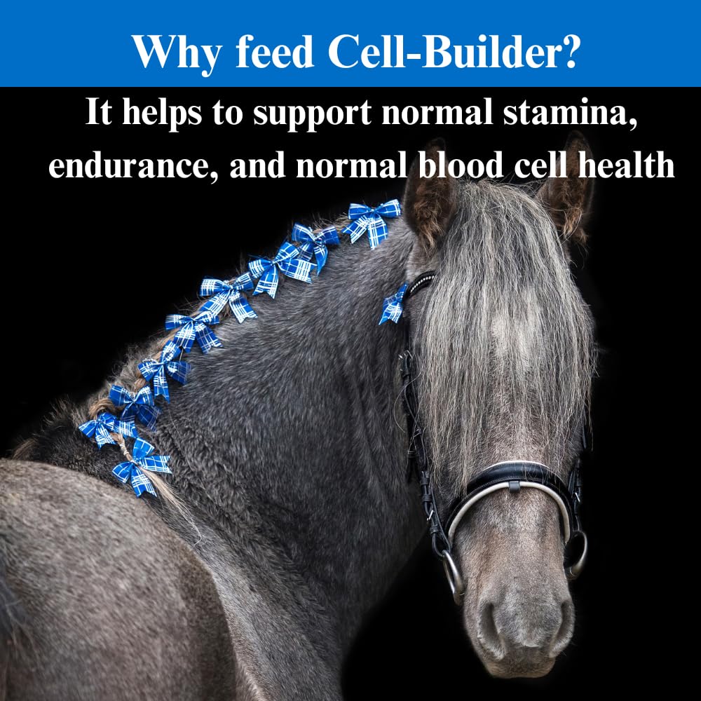 su-per-cell-builder-horse-supplement-hig-5.jpg