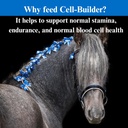 su-per-cell-builder-horse-supplement-hig-5.jpg