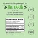 happy-healthy-hippie-red-yeast-rice-with-3.jpg