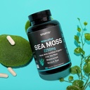 certified-organic-sea-moss-capsules-2250-4.jpg