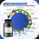 brain-wellness-ginkgo-biloba-rhodiola-co-3.jpg