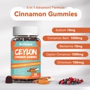 2-pack-sugar-free-ceylon-cinnamon-gummie-5.jpg