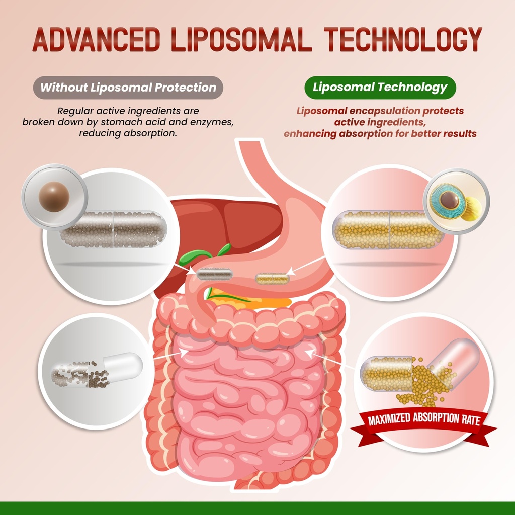 liposomal-cayenne-pepper-cinnamon-ginger-5.jpg