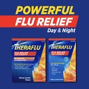 theraflu-max-strength-daytime-nighttime--5.jpg