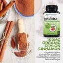 doctor-recommended-supplements-berberine-3.jpg
