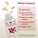 andrew-lessman-vitamin-b12-500-360-capsu-4.jpg