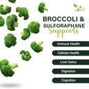 ved-broccoli-sulforaphane-broccoli-powde-2.jpg