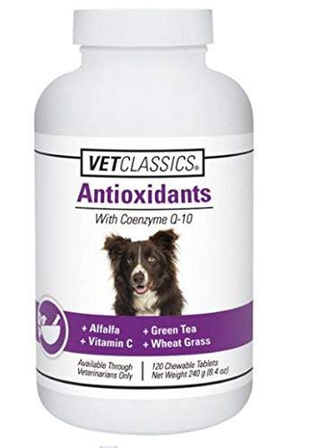 antioxidants-supplement-with-coenzyme-q--4.jpg