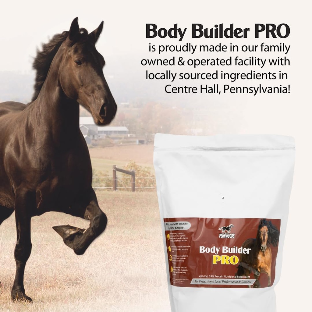 pennwoods-body-builder-pro-horse-weight--5.jpg