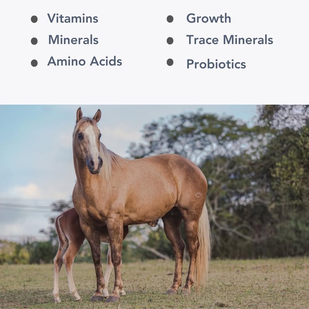 mare-foal-ii-p-10lb-balanced-multi-vitam-2.jpg