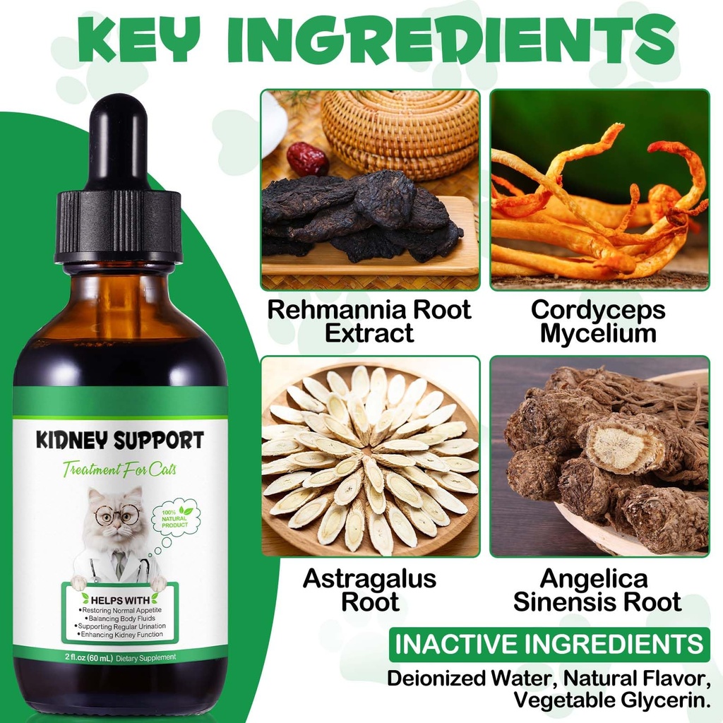 kidney-support-for-cats-cat-kidney-treat-4.jpg