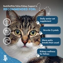 cat-uti-remedy-kidney-support-for-cats-n-5.jpg