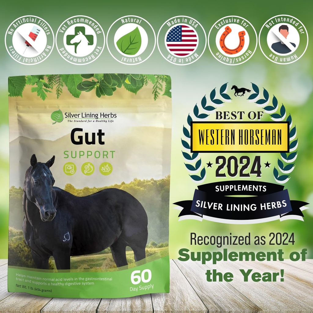 gut-support-supplement-for-horses-1-lb-g-5.jpg