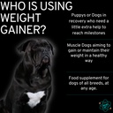 dog-weight-gainer-powder-and-bladder-str-2.jpg