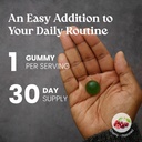 vita-globe-ashwagandha-gummies-25mg-for--4.jpg