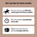 formula-707-musclemx-muscle-supplement-f-5.jpg