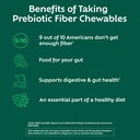 benefiber-chewable-prebiotic-fiber-table-71No4R2Ob7L.jpg