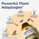 vitalitown-ashwagandha-supplement-700mg--711Mqv2I6qL.jpg
