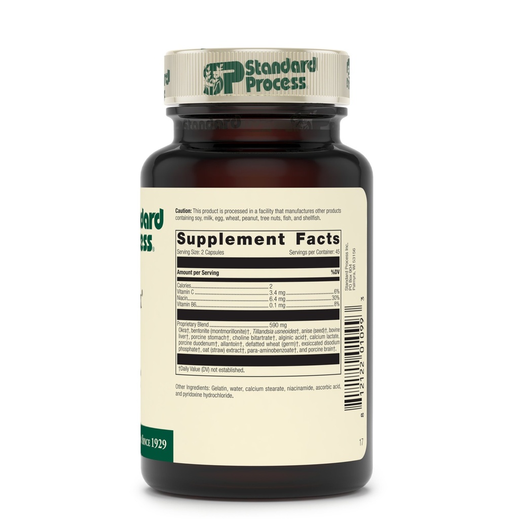 standard-process-gastrex-supports-digest-71fqzheKNgL.jpg
