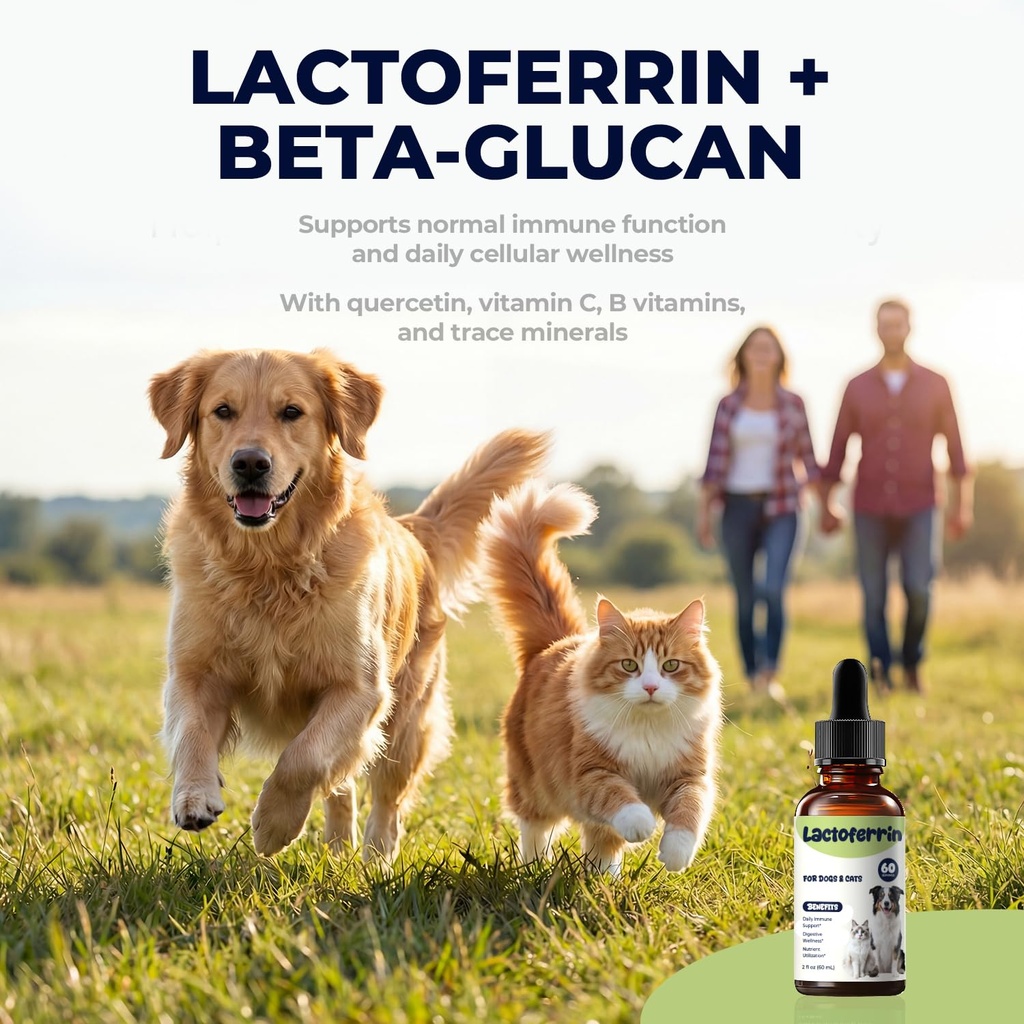 lactoferrin-liquid-supplement-for-dogs-c-71DKjsR2g-L.jpg