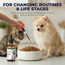 lactoferrin-liquid-supplement-for-dogs-c-711DWyFUiJL.jpg