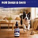 liquid-iron-supplement-for-dogs-cats-blo-71zd9VLWEvL.jpg