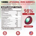 2-pack-100mg-iron-bisglycinate-gummies-1-81LghvjDYCL.jpg