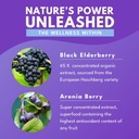 bold-botanica-elderberry-elixir-65x-conc-5.jpg