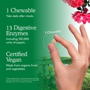 garden-of-life-dr-formulated-digest-enzy-81LWnTr4zHL.jpg