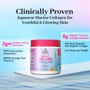 chicnutrix-marine-collagen-supplements-p-719tWhN+rhL.jpg