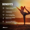 boldfit-apple-cider-vinegar-tablets-with-61gjwllXPuL.jpg