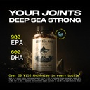 deep-sea-king-100-anchovies-fishoil-10mg-71pqa23zOwL.jpg