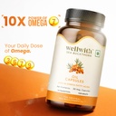 wellwith-by-ayuzera-sea-buckthorn-berry--61duPtq0q1L.jpg